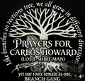 Carlos Howard ts